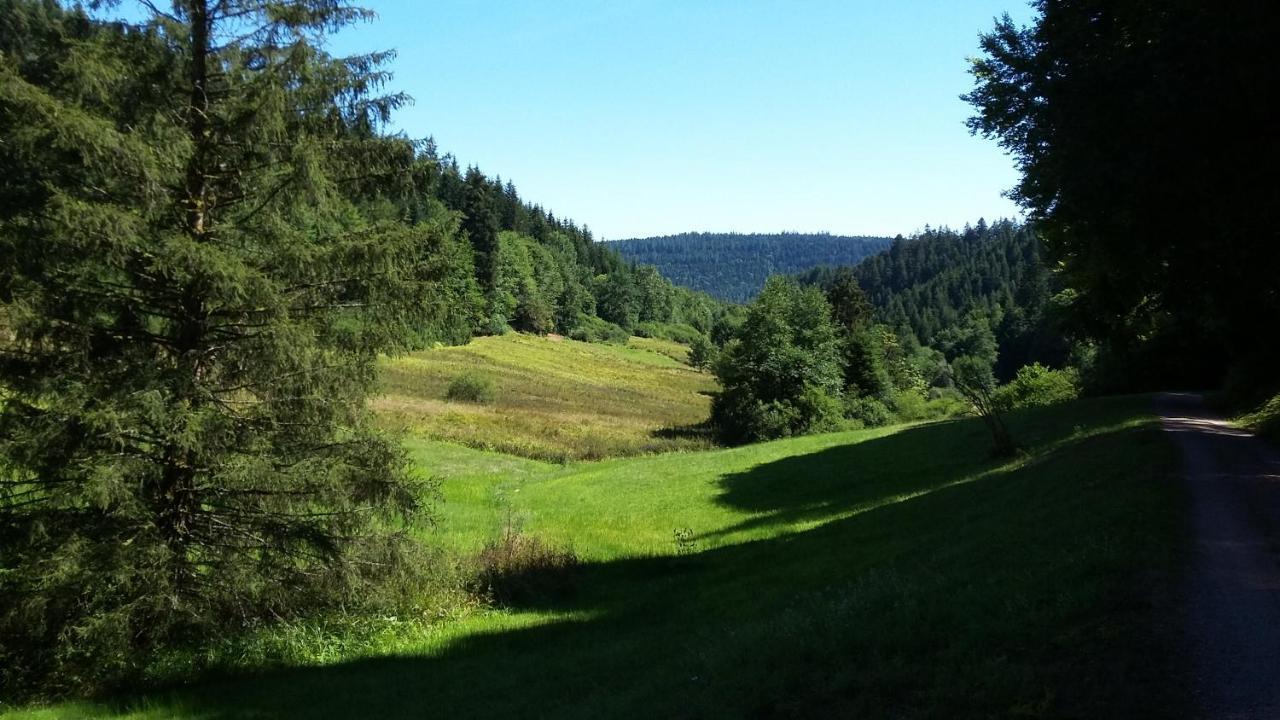 Meisterhaus Alpirsbach Loft Zewnętrze zdjęcie